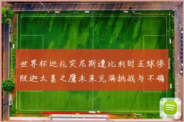 世界杯巡礼突尼斯遭比利时五球惨败迦太基之鹰未来充满挑战与不确定性