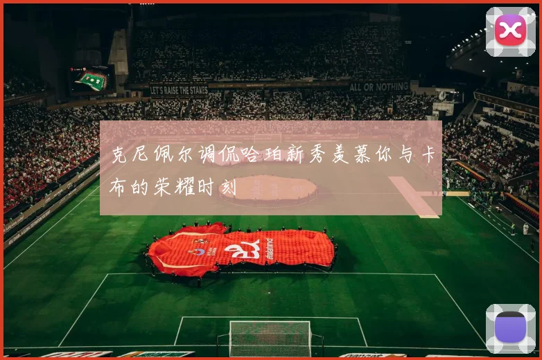 克尼佩尔调侃哈珀新秀羡慕你与卡布的荣耀时刻